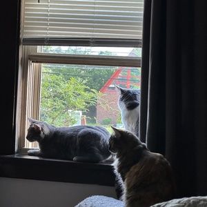 Meet your Posher, Tricia